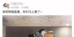 “王思聰”商標(biāo)被公然叫賣80萬(wàn)！