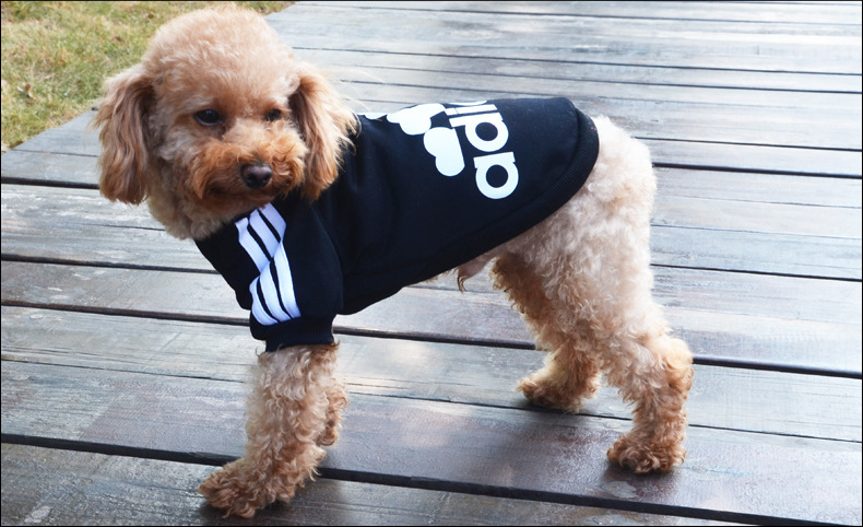 Adidas還有寵物服裝支線Adidog？ 其實是商標侵權(quán)