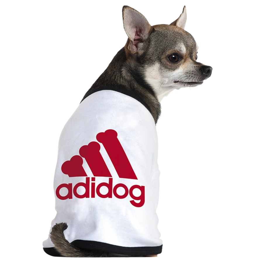Adidas還有寵物服裝支線Adidog？ 其實是商標侵權(quán)