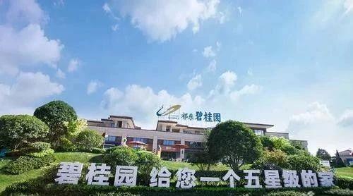 12件全部被駁回！碧桂園經(jīng)典廣告語申請失敗