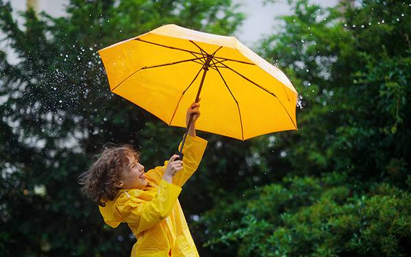 雨傘商標(biāo)轉(zhuǎn)讓流程以及類別