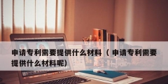 申請(qǐng)專(zhuān)利需要提供什么材料（ 申請(qǐng)專(zhuān)利需要提供什么材料呢）