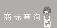 商標(biāo)查詢能否注冊（商標(biāo)查詢能否注冊公司）