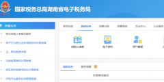財(cái)務(wù)會計(jì)制度備案信息怎么填(電子稅務(wù)局財(cái)務(wù)會計(jì)制度備案流程)