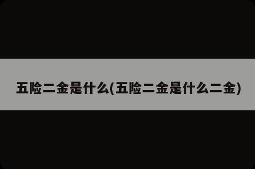 五險二金是什么(五險二金是什么二金)