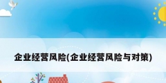 企業(yè)經營風險(企業(yè)經營風險與對策)