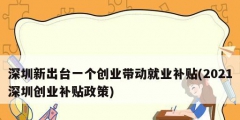 深圳新出臺一個(gè)創(chuàng)業(yè)帶動(dòng)就業(yè)補(bǔ)貼(2021深圳創(chuàng)業(yè)補(bǔ)貼政策)