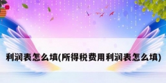 利潤(rùn)表怎么填(所得稅費(fèi)用利潤(rùn)表怎么填)